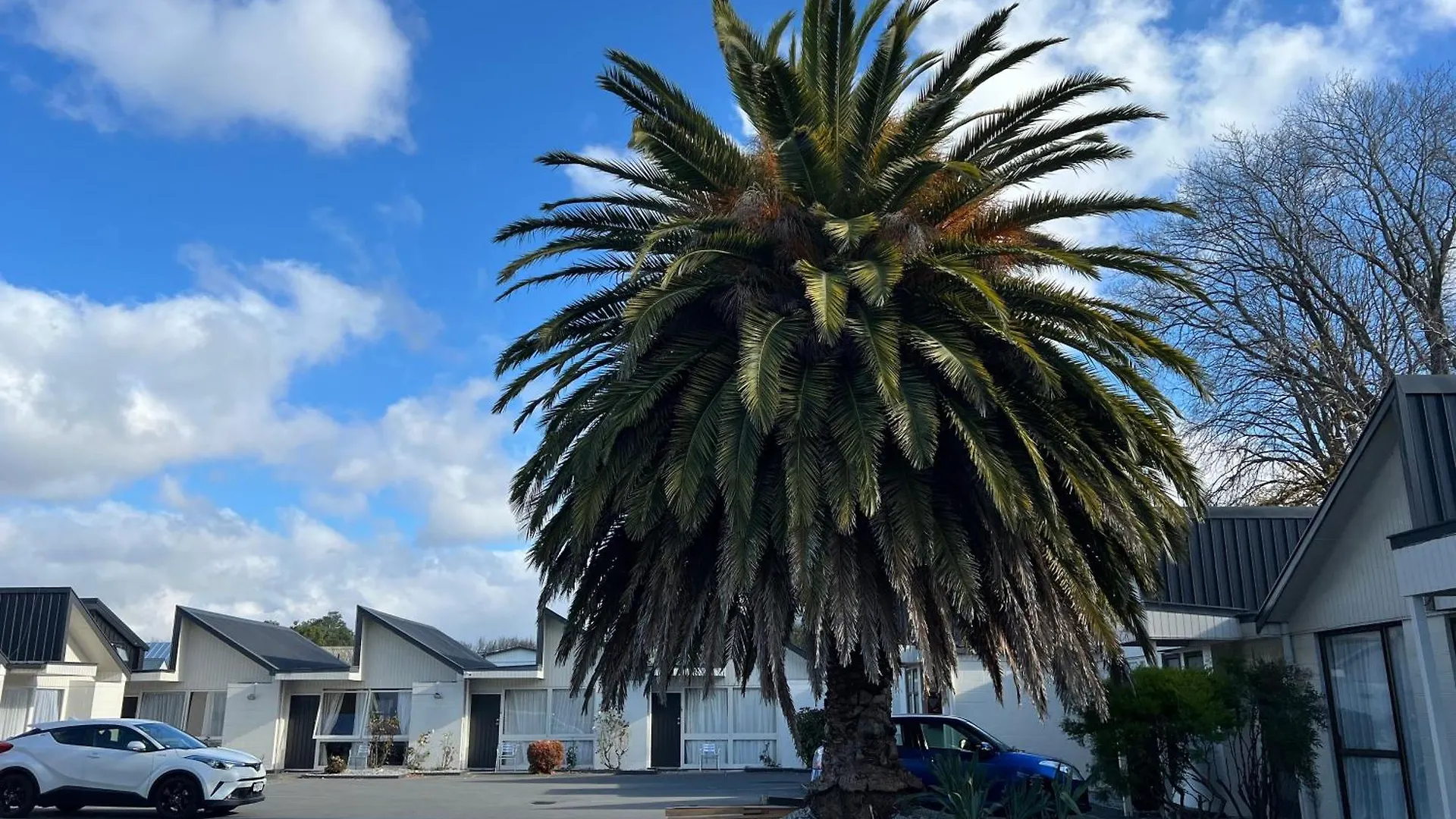 Diplomat Motel Christchurch 4*,